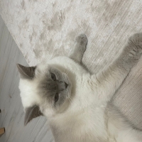 Sağlık so..