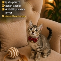 ÖMÜRLÜK Y..