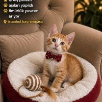 SAĞLIKLI..
