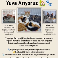 Ankara -..