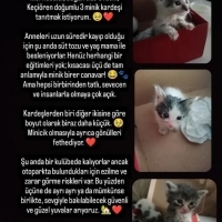 3 Minik K..