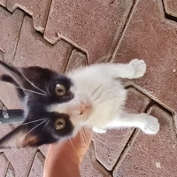 Bu şirin..