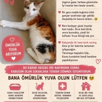 Çiçek kız..