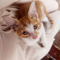 🧡sevgi d..