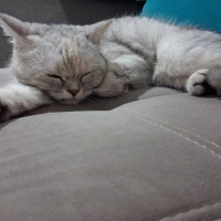 Mia için..
