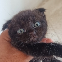 Çok tatlı..