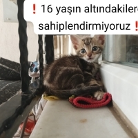 Denizli'd..