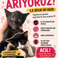 İKİ KARDE..