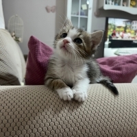 Mini mini bir bebek