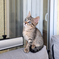 🐾 2 Aylı..