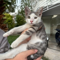 Dünya Güz..