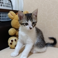 Ayıcığa değil size sarılmasın mı?