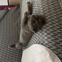 Duman içi..
