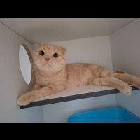 Kliniğimi..