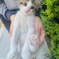 Oyunncu, insanlarla iletişimi çok iyi, sevgi bağımlısı