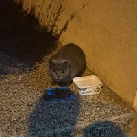 Yuva Aran..