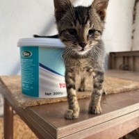 Göremiyor..