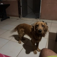 Sokağa at..