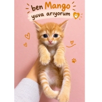 SEVİMLİ Y..