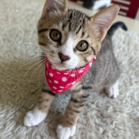 Minik Kay..