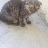 5 aylık s..