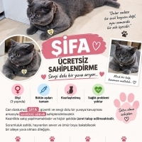 Şifa ya g..