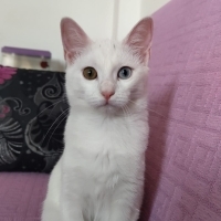 1 yaşında..