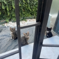 İş yerind..