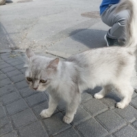 SOKAKTA B..