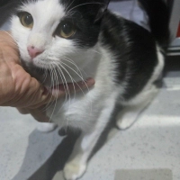 Nolan 6 a..