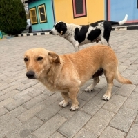 Balım Evi..