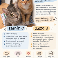 Çok akıllı kardeşlere yuva olur musun