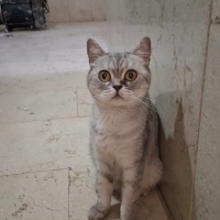 Sokağa kaçmış bir anne