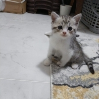 Çok tatlı..