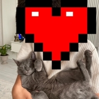 🐾 Mochi'ye Ömürlük Yuva Aranıyor 🐾