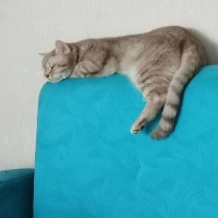 Sıcak yuv..