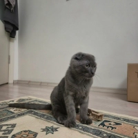 Kalıcı bi..