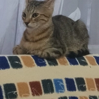 6 aylık b..