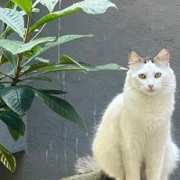 Sıcak Yuvanıza İhtiyacı Var