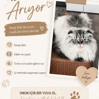Ömürlük y..