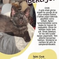 CIVIK YUV..