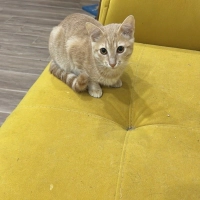 Sevgi dol..