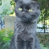 Şirin kız..