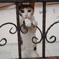 Aşşırııı..