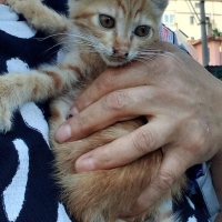 Güneş kız..