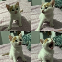 bebeğimiz..