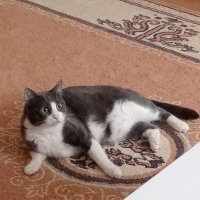 Lilamiza güvenilir bir yuva arıyoruz