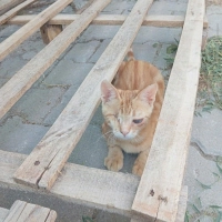2 gözü de..