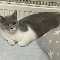 🐾 ÖMÜRLÜ..