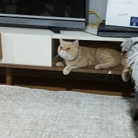 Leo için..